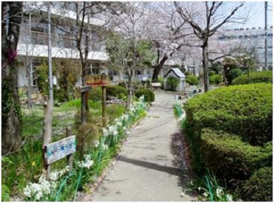 東中学校・中庭